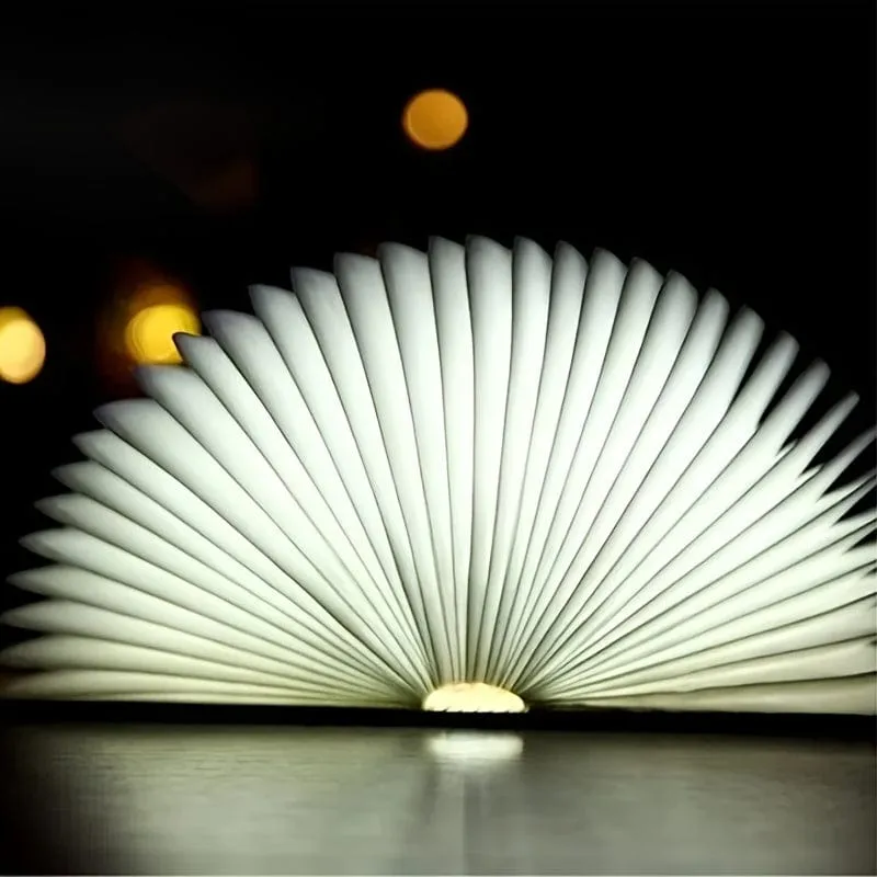 Mona Collection: Portable Flip Book Lamp