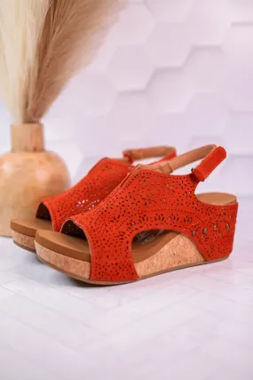 Rust Free Fly Wedge
